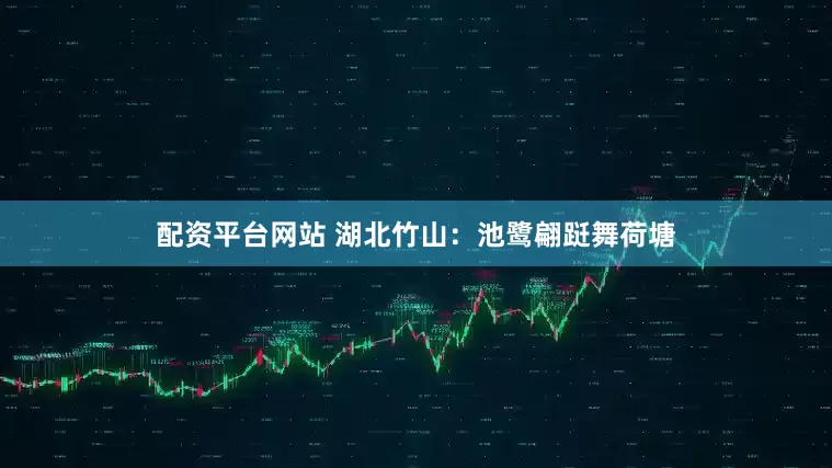 配资平台网站 湖北竹山：池鹭翩跹舞荷塘