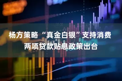 杨方策略 “真金白银”支持消费 两项贷款贴息政策出台