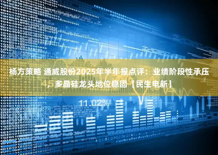 杨方策略 通威股份2025年半年报点评：业绩阶段性承压，多晶硅龙头地位稳固【民生电新】