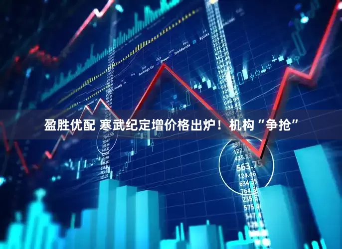 盈胜优配 寒武纪定增价格出炉！机构“争抢”