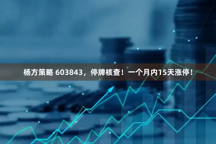 杨方策略 603843，停牌核查！一个月内15天涨停！