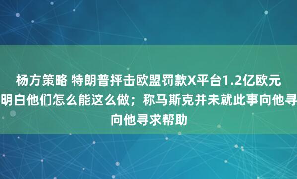 杨方策略 特朗普抨击欧盟罚款X平台1.2亿欧元：我不明白他们怎么能这么做；称马斯克并未就此事向他寻求帮助